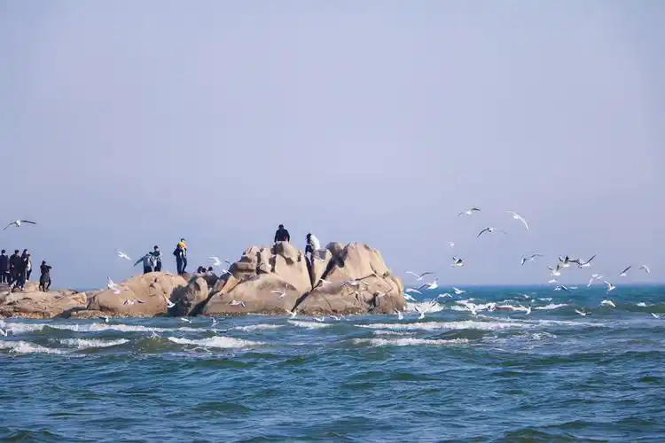 《大海作证》北戴河