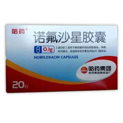 哈药 诺氟沙星胶囊 0.1g*20粒