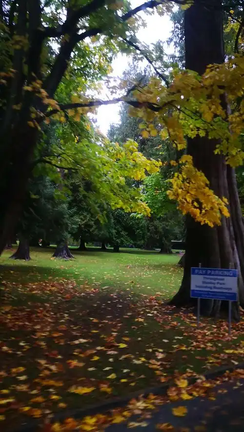 以红松等针叶林为主的原始森林是公园最知名的景点.