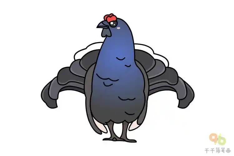 教你画黑琴鸡简笔画