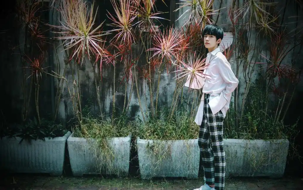 易烊千玺台湾小清新街拍图片