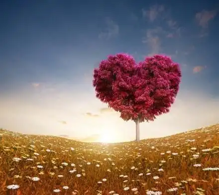 最打动人心的爱情语录,简短经典,撩人心弦!