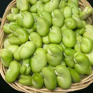 蚕豆米 新鲜云南特产蔬菜现摘去皮绿心嫩青胡豆米罗汉豆角4斤包邮