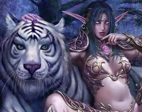 月之女祭司作为猎人和精灵羁绊的挂件,对两种体系的成型都加快其脚步