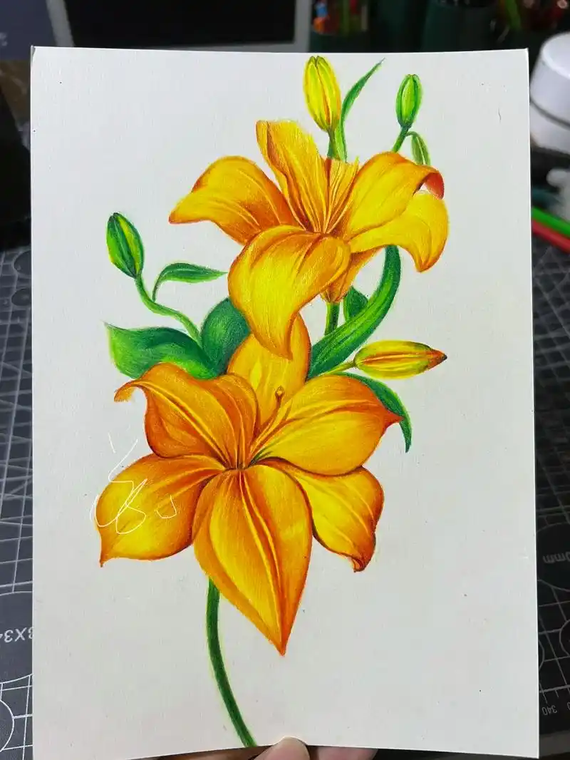 彩铅百合花教程 | 彩铅花卉教程#彩铅画画入门教程 #跟着抖 - 抖音