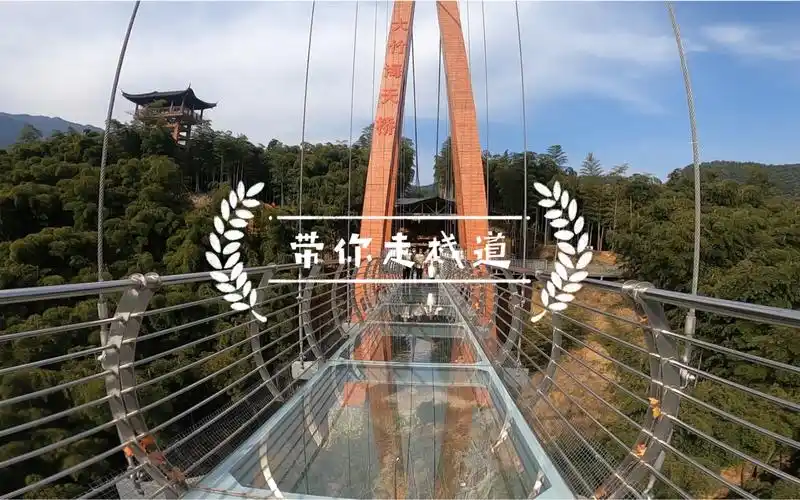 21年1月安吉大竹海玻璃栈道-vlog视频-搜狐视频