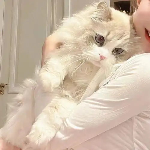 428对象不是人系列情头