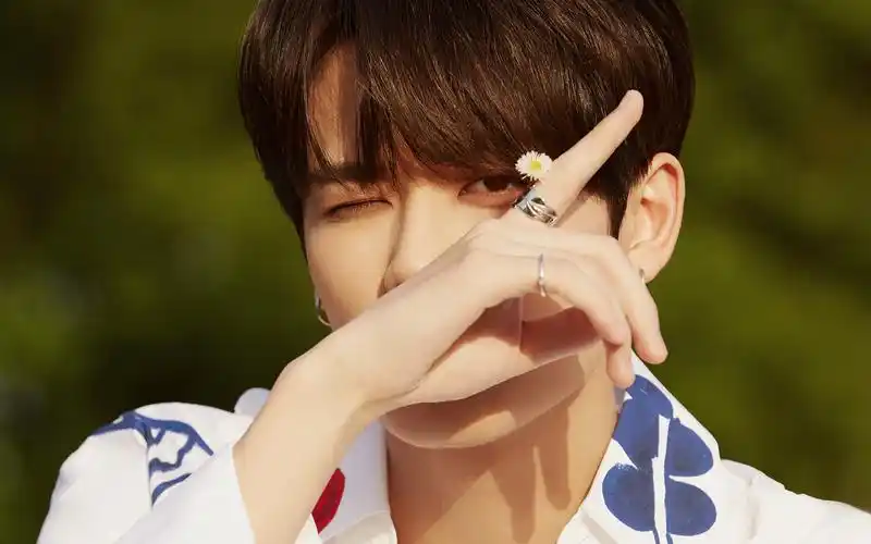 林彦俊清爽白衣少年桌面壁纸