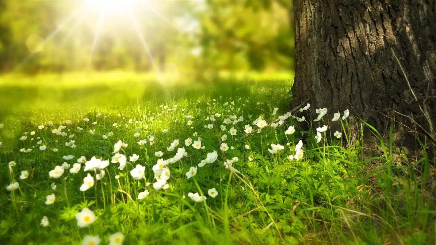 ( 3 / 8 ) 2020-09-08 10:37:28 壁纸尺寸是: 1920x1080 图片来自用户