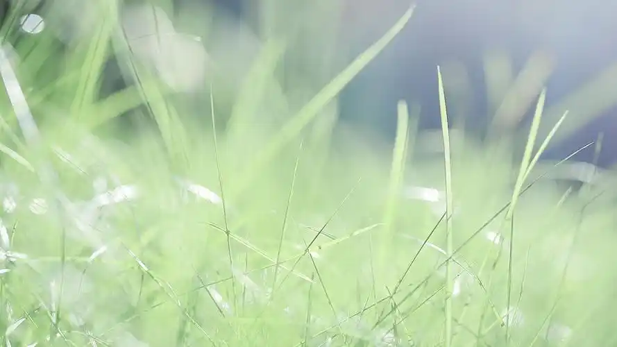 美桌网把热门壁纸图片推荐给您,让您更快的找到您想要的简约好看的