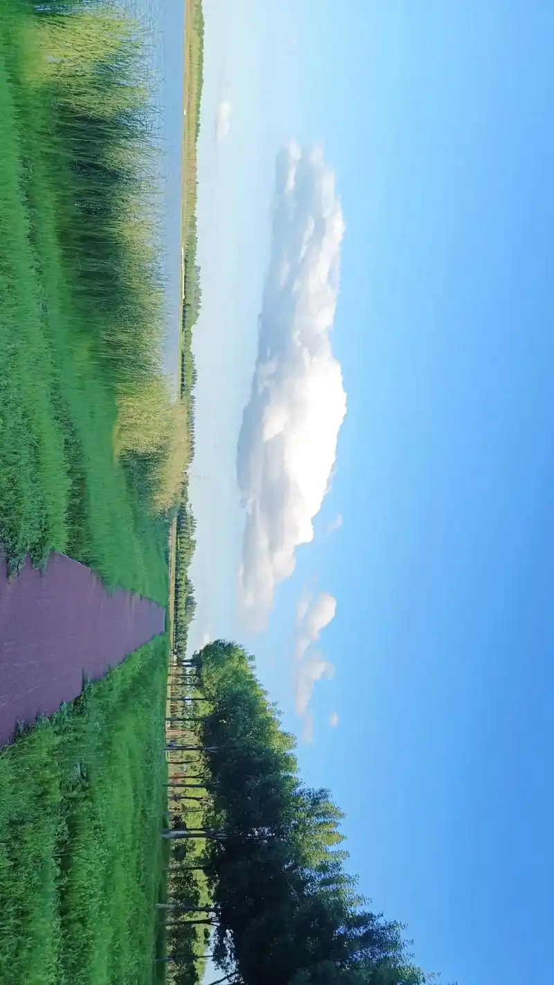 世界上最愚蠢的行为,就是跟别人讲道理,永远要记住,位置不同,少言为贵