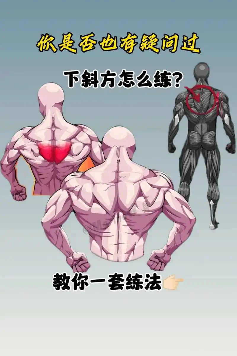 下斜方怎么练? #斜方肌 #下斜方 #健身干货 #图文挑战激 - 抖音
