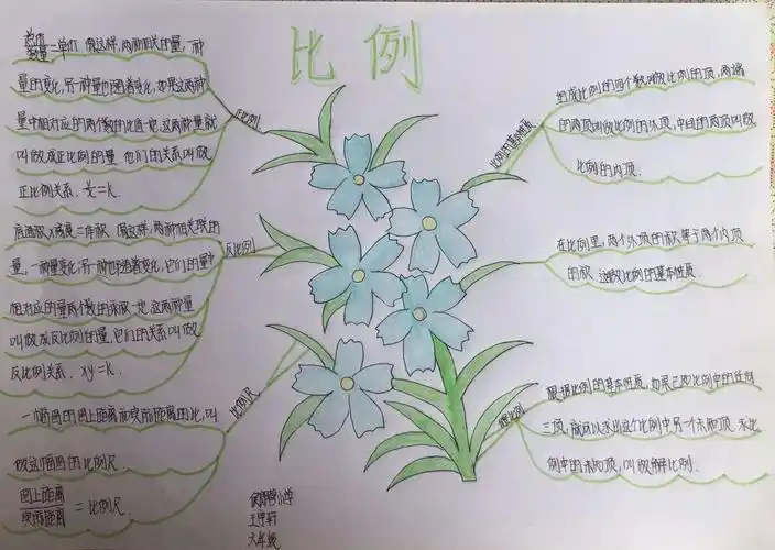 绽放思维之花——侯郎营小学六年级单元思维导图(比例)