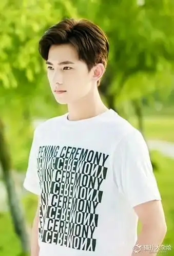 杨洋宁泽涛刘清沨 盘点90后"小鲜肉"颜值男明星(图)