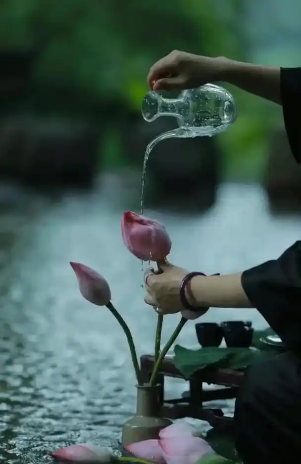 散文所有的美好都不负遇见(散文时光不语愿我们拥有一颗淡然的心)(1)