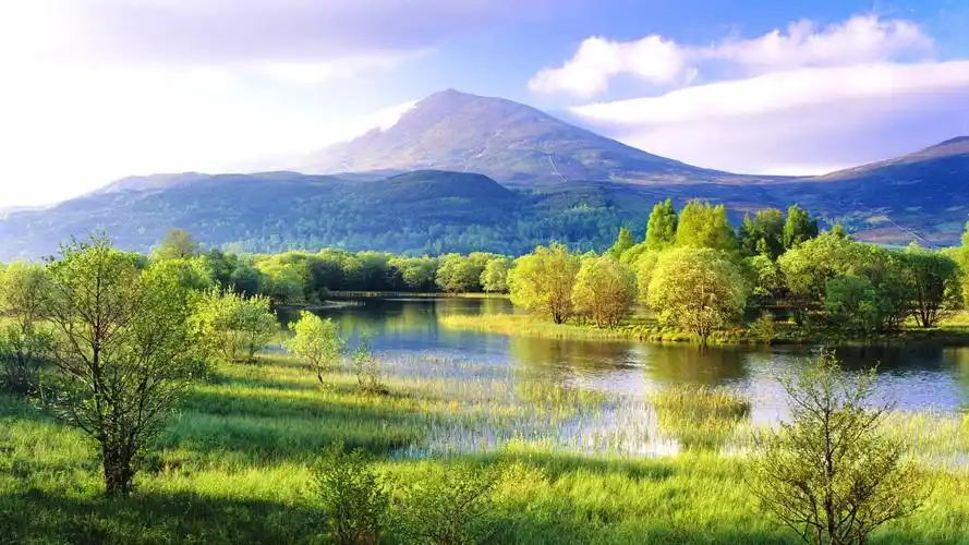 从3月底开始前途事业好吉祥顺利大钱飞来的4大生肖