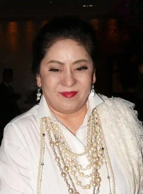 现在"土肥圆"的女明星,年轻时有多倾城你知道吗,岁月催人胖啊