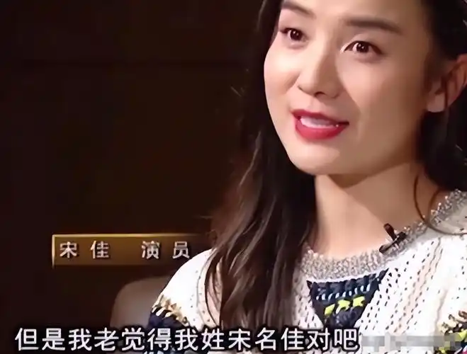 大宋佳vs小宋佳