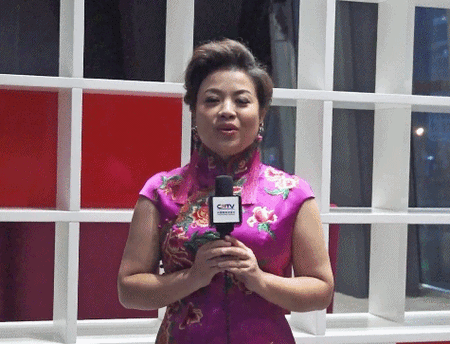 采访张也gif动图_动态图_表情包下载_soogif