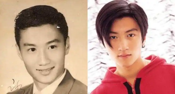 谢贤年轻时容貌到底有多惊艳?人气和演技受大众认可,堪比谢霆锋