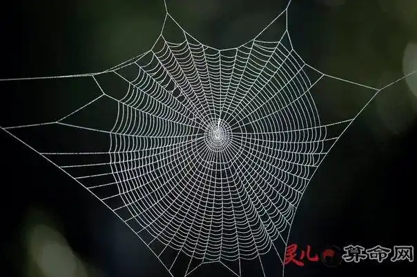 地网及查询方法 天罗地网煞解化方法_ 乾坤网(原易灵算命网)手机版