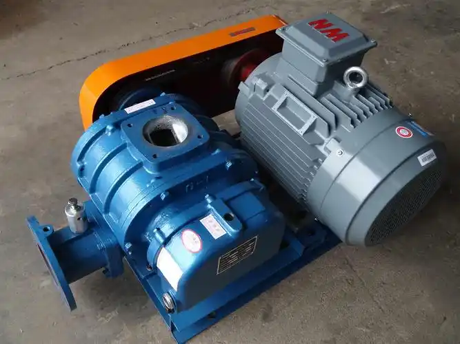 污水罗茨风机三页罗茨风机