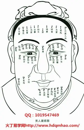 以相学角度来说,手掌心生有痣的人,属于心思缜密,计算精确之流,这类