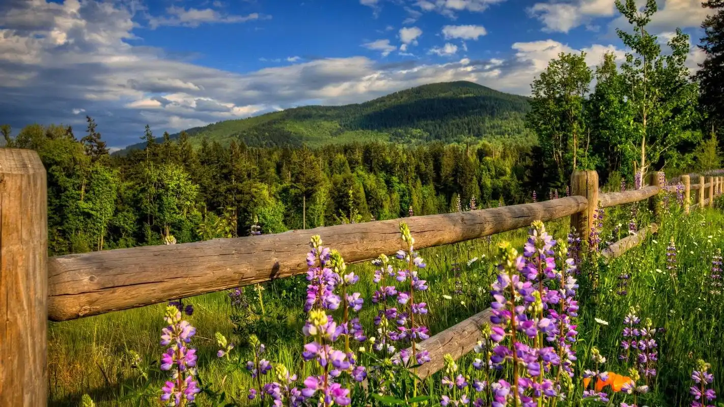 唯美宁静自然风景篱笆高清电脑桌面壁纸