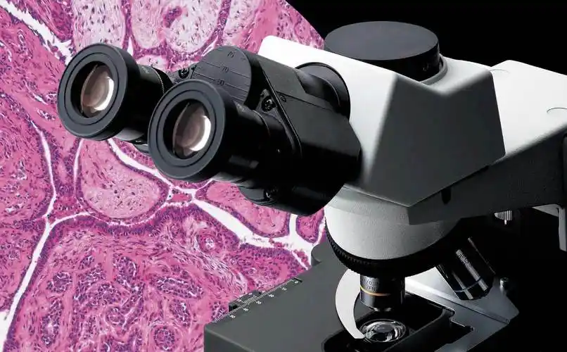 奥林巴斯olympus显微镜cx31配置