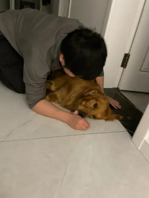 才发现我老公早就给我做了很好的示范[doge]所以以后狗再舔人,就亲