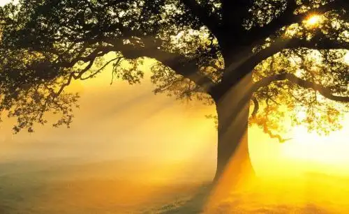 上游61夜雨丨谭岷江向一束光致敬