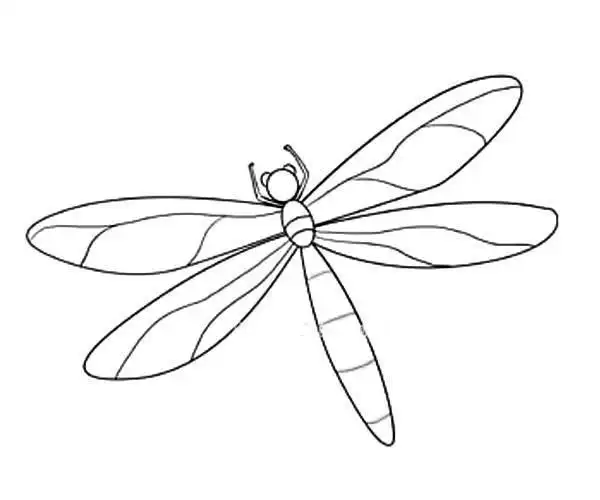蜻蜓的画法简笔画