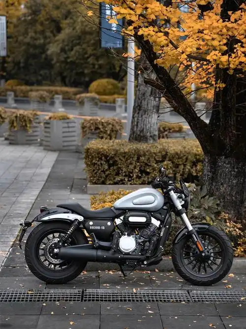 伊人蔬海味零食手撕鱿鱼丝条-瓶儿的盖儿