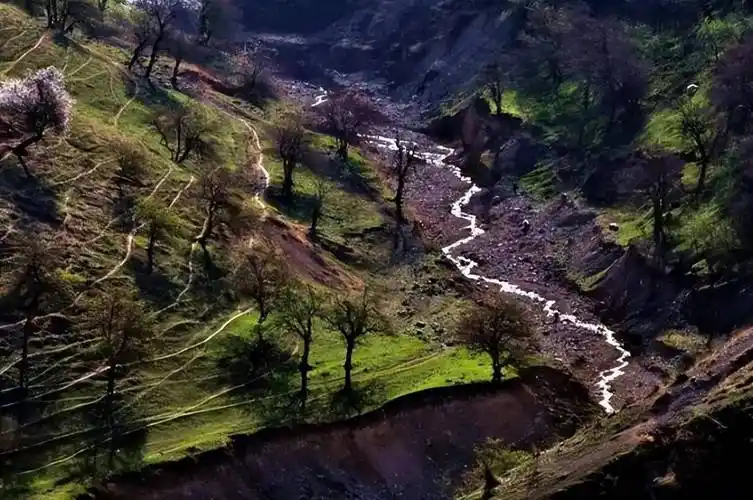 新疆霍城大西沟,美得感天动地!_伊犁_樱桃_野果