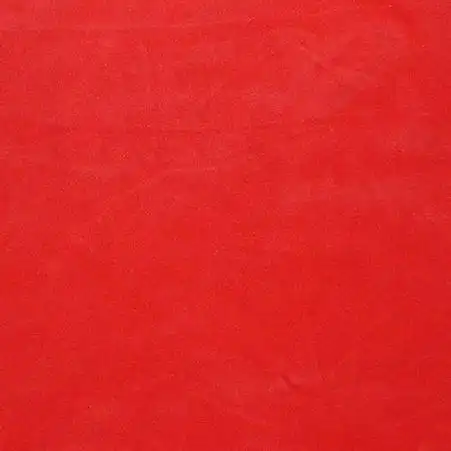 颜料国旗红永固大红