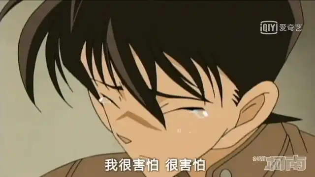 名侦探柯南工藤新一失忆小兰的眼泪却是真相