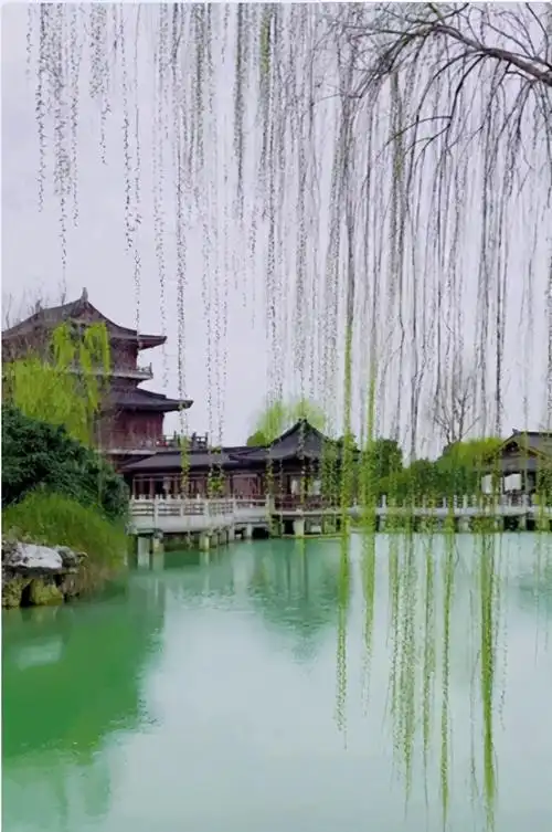 诗情画意的江南春天,那一定是治愈的春天.