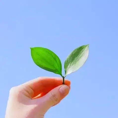 下午好表情图大全,成功人士简单干净