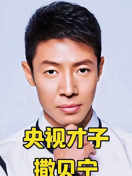 都是娱乐家撒贝宁李白