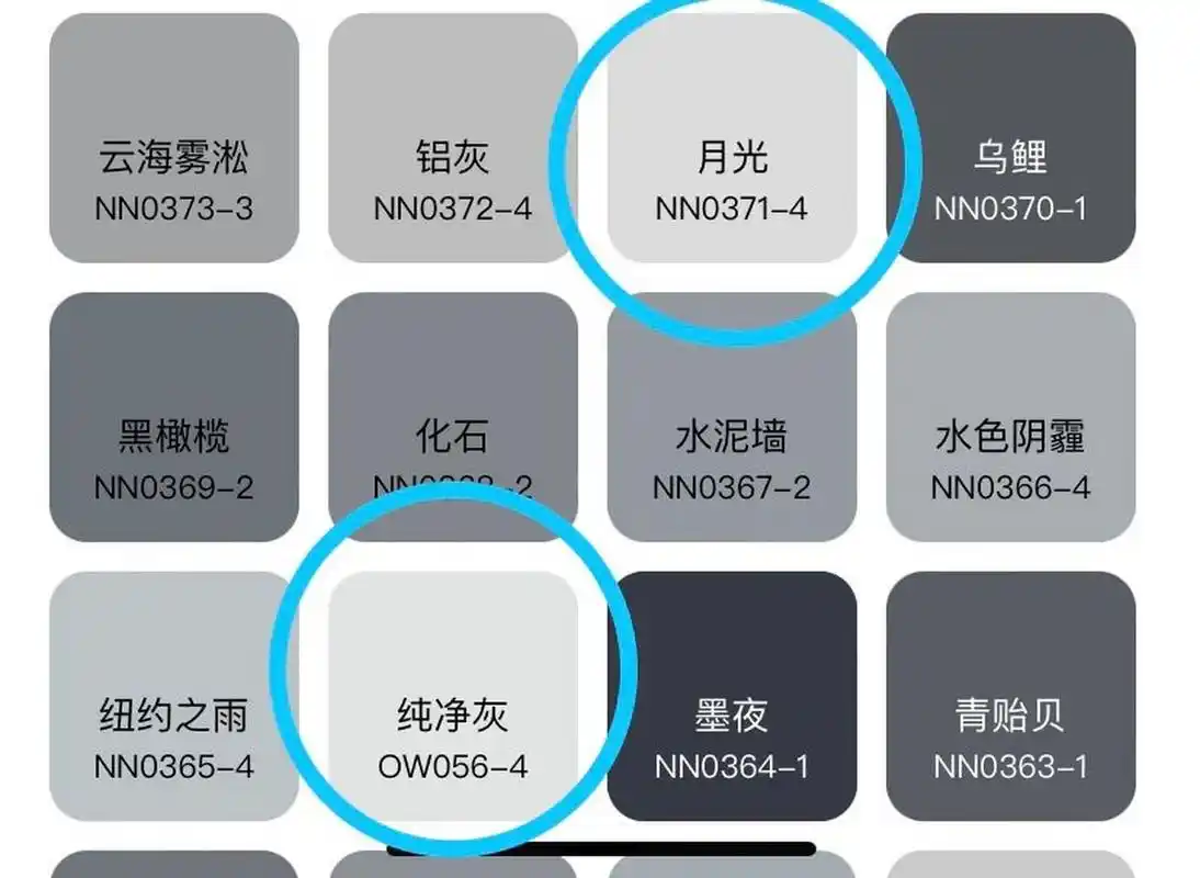 立邦乳胶漆 最终选择客厅通刷了立邦纯净灰,选这个颜色之前也在94做