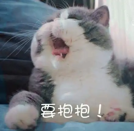 萌宠喵星人要抱抱撒娇呆萌可爱gif动图_动态图_表情包下载_soogif