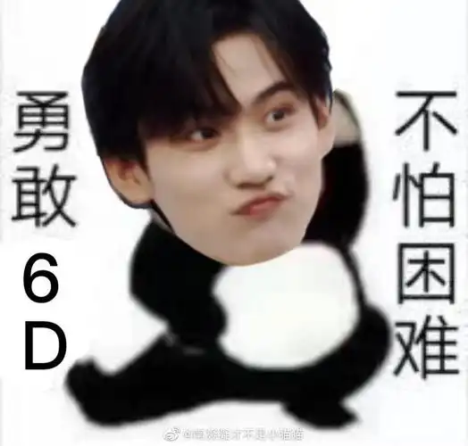 速更新中收集周柯宇表情包专属楼