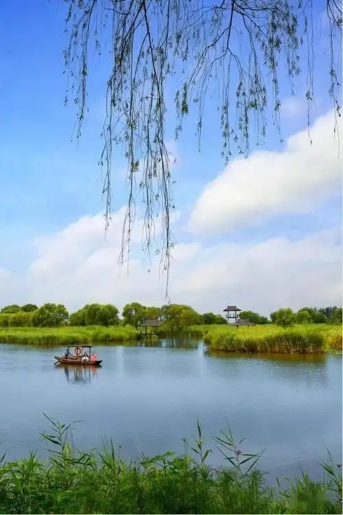 万物复苏意境 万物复苏的诗句-图片大观-奇异网