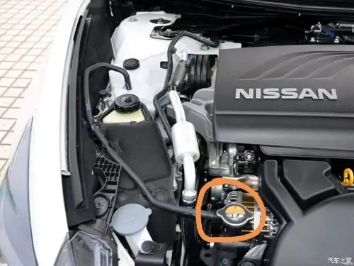 防冻液在哪里加