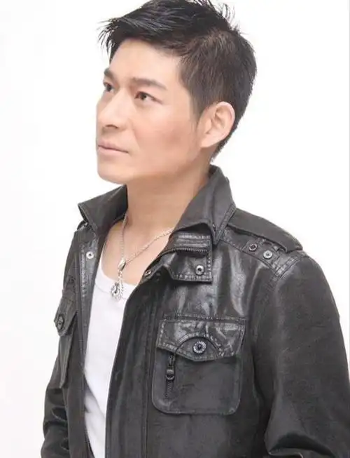 刘德华12位模仿者(盘点十位刘德华模仿者)(10)