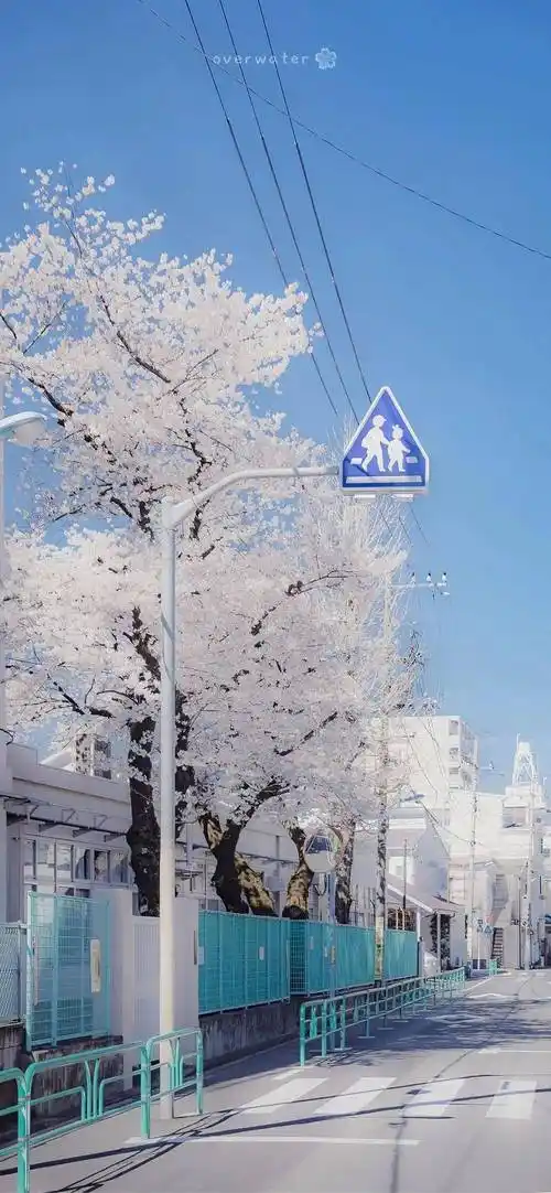 壁纸|ins风高级感壁纸