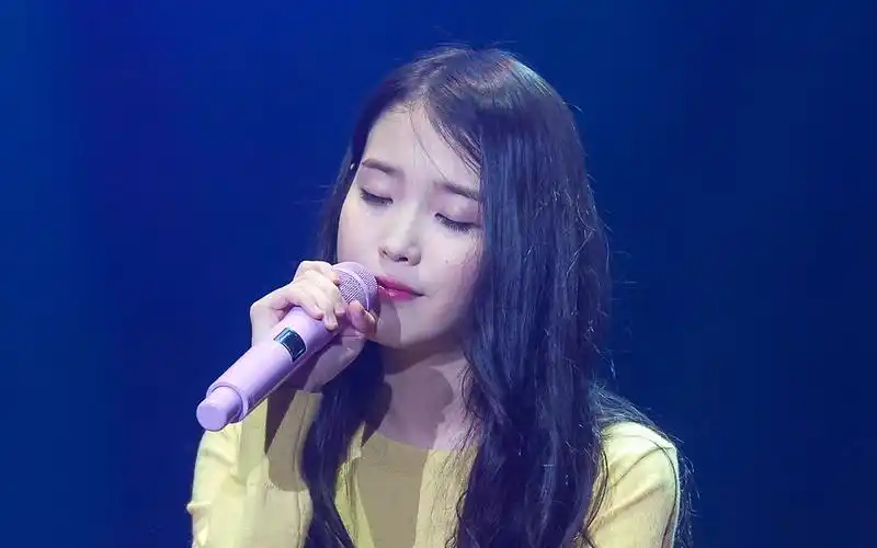 [4k]iu自作曲眼镜舞台饭拍/151121 chat-shire演唱会首尔场安安可