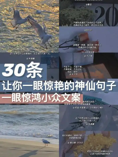 摘抄一眼万年神仙句子小众文案一眼惊鸿