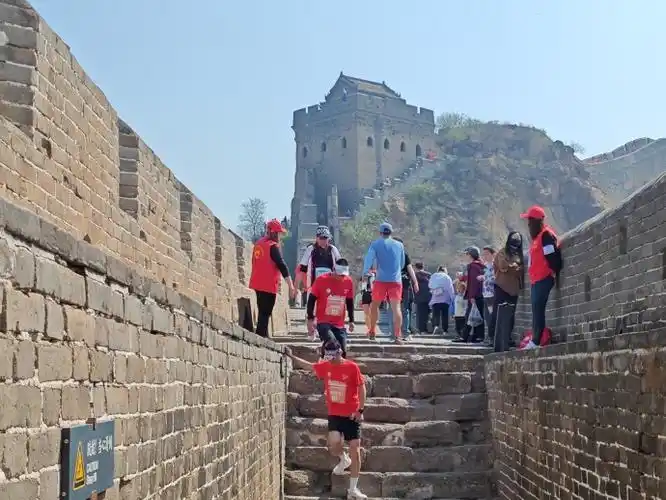 #杏韵花开长城之约##春游季##不止旅行#