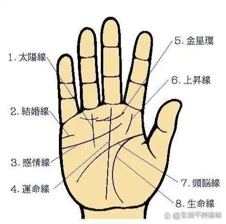 因此拇指有痣或食指上有痣的人,身边的桃花往手指有痣图解 女人 右手